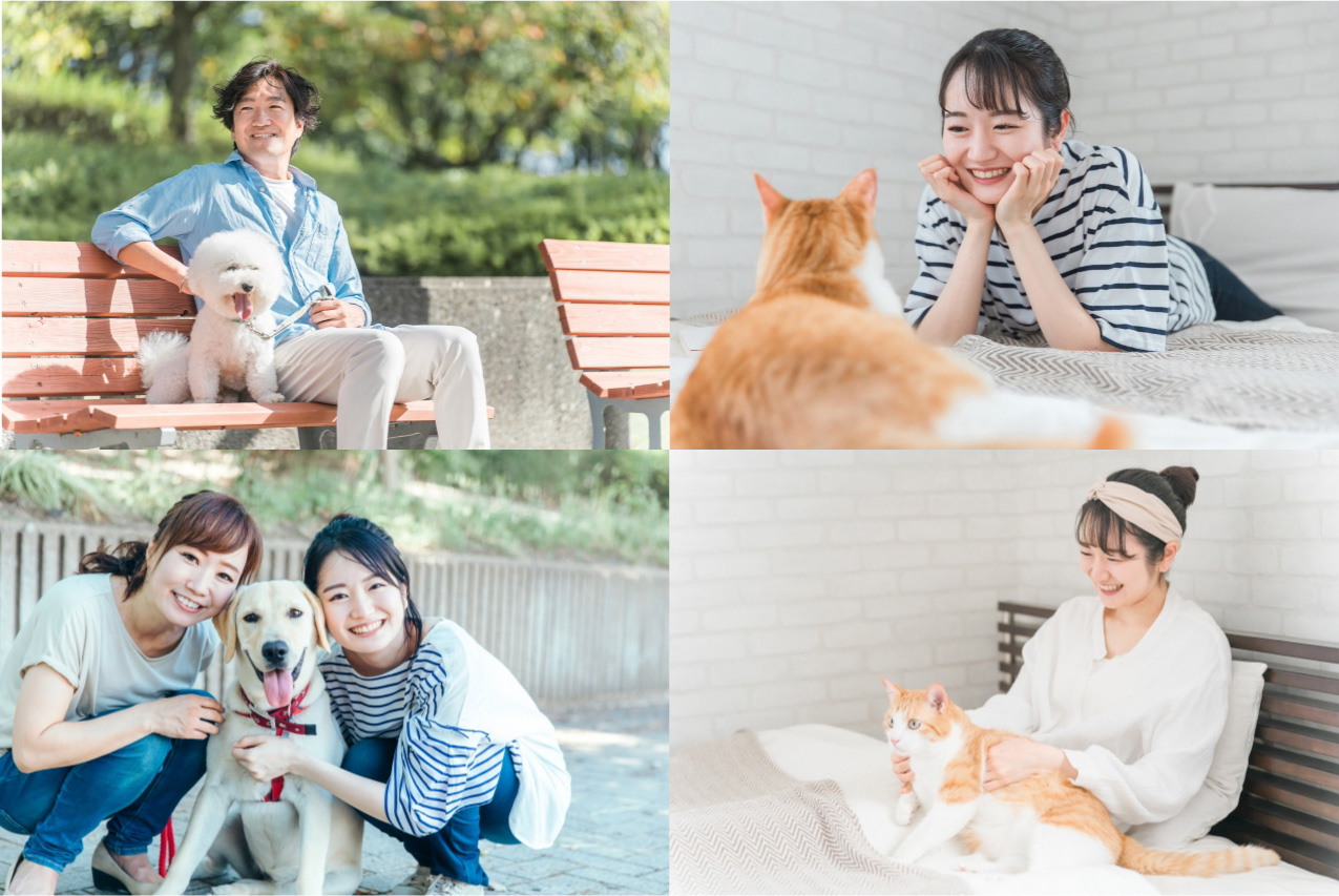 かもめ獣医科医院