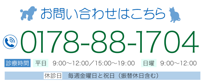 お問い合わせはこちら 0178-88-1704 診療時間	平日 9：00～12：00／15：00～19：00 日曜 9：00～12：00 休診日	毎週金曜日と祝日（振替休日を含みます）